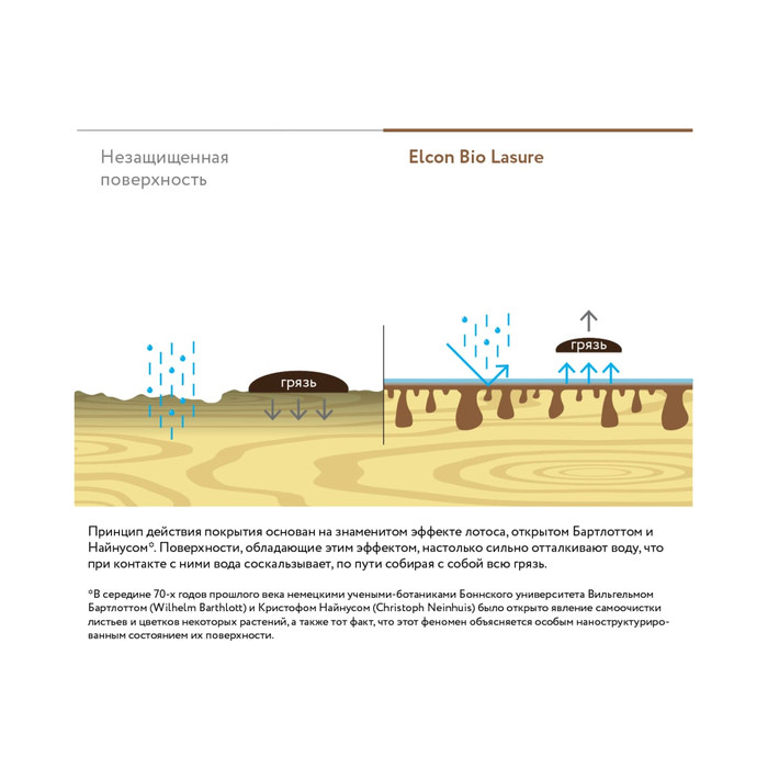 Водоотталкивающая пропитка Elcon Bio Lasure для защиты дерева до 15 лет, антисептик (бесцветная; 2 л) 00-00461954 фото 11