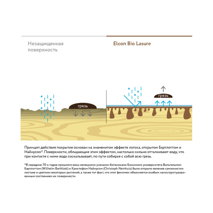 Водоотталкивающая пропитка Elcon Bio Lasure для защиты дерева до 15 лет, антисептик (каштан; 2 л) 00-00461952 фото 11