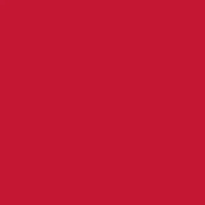 Аэрозольная акриловая эмаль Decorix (универсальная; красный; 210 мл) 0110-04 DX фото 3